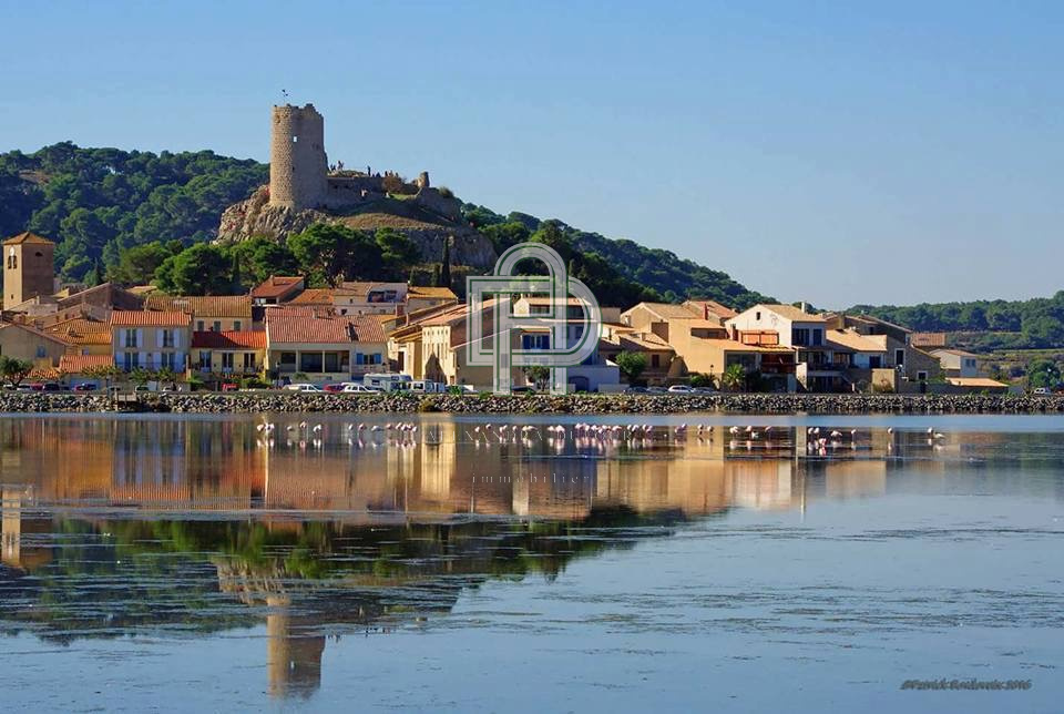 Image_, Appartement, Gruissan, ref :1825