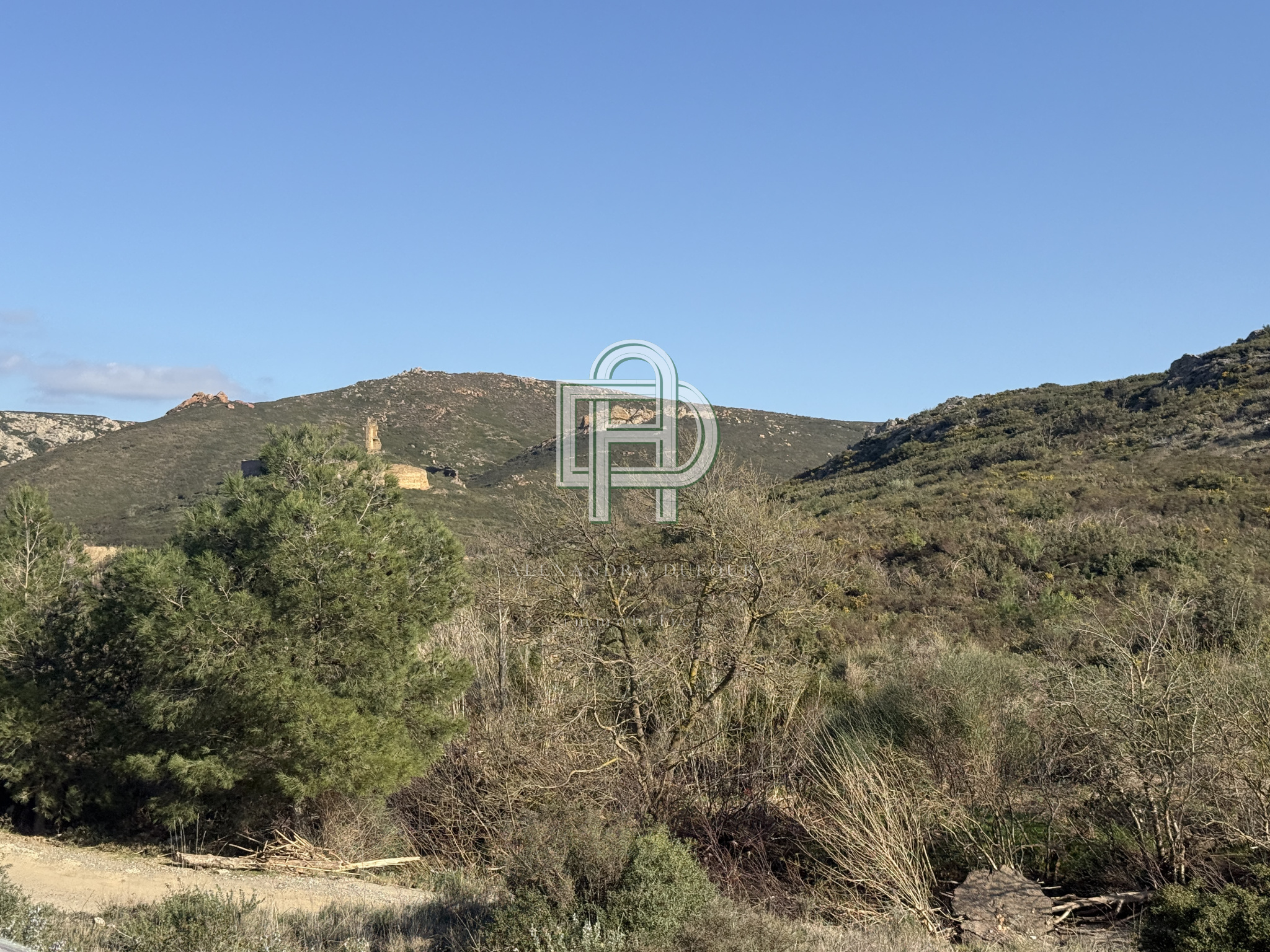 Image_, Maison, Bizanet, ref :1811