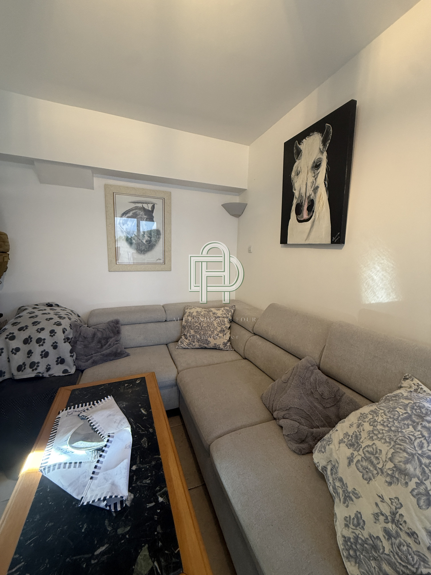 Image_, Maison, Gruissan, ref :1843