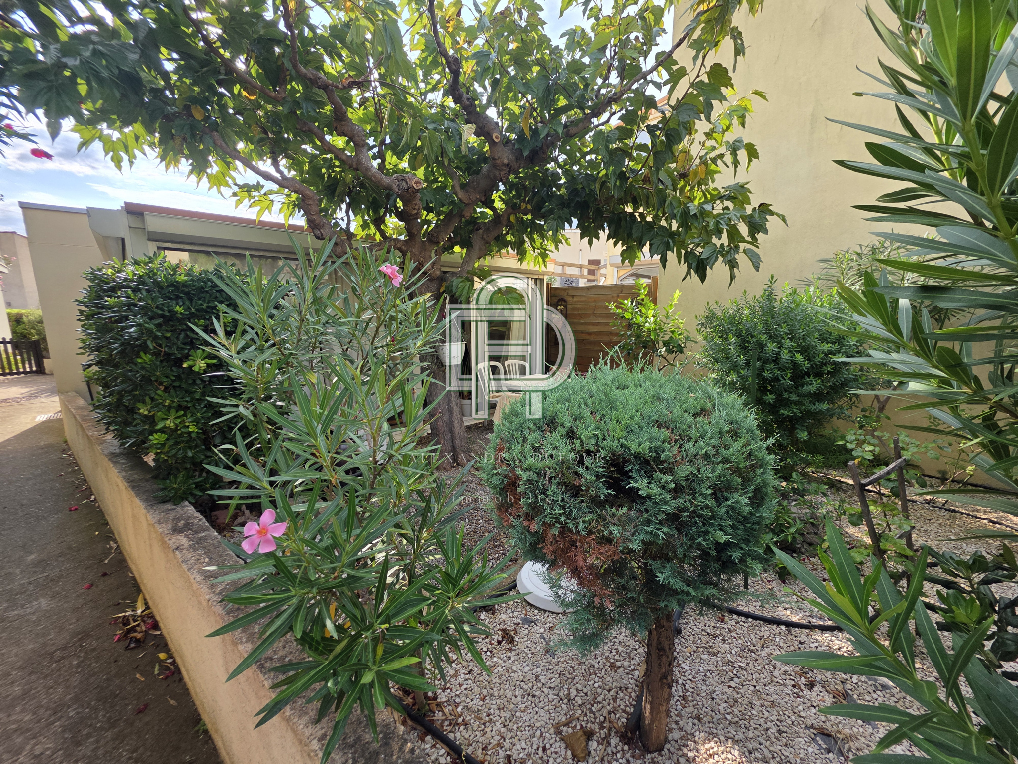 Image_, Maison, Gruissan, ref :1810