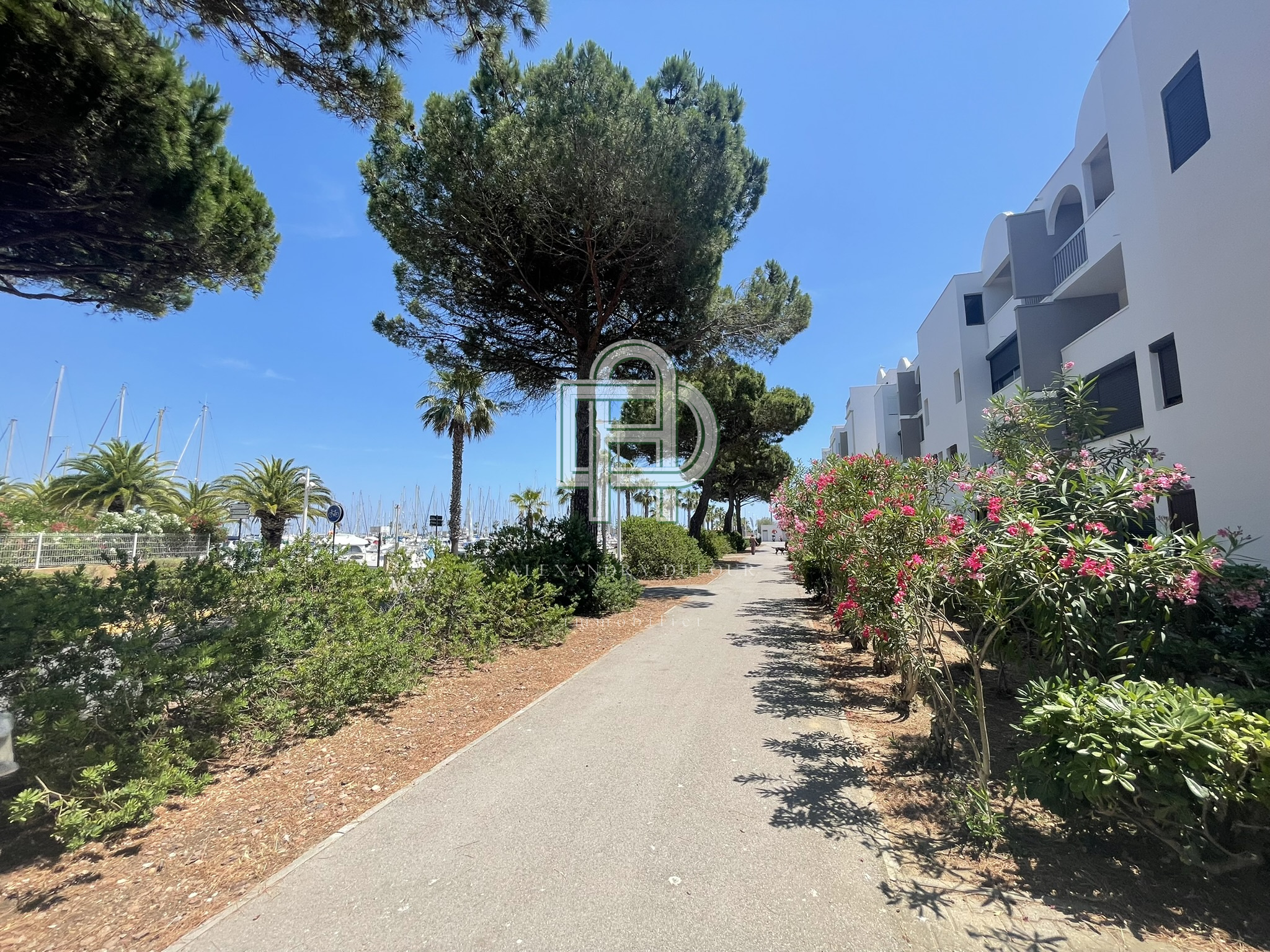Image_, Appartement, Gruissan, ref :09.05