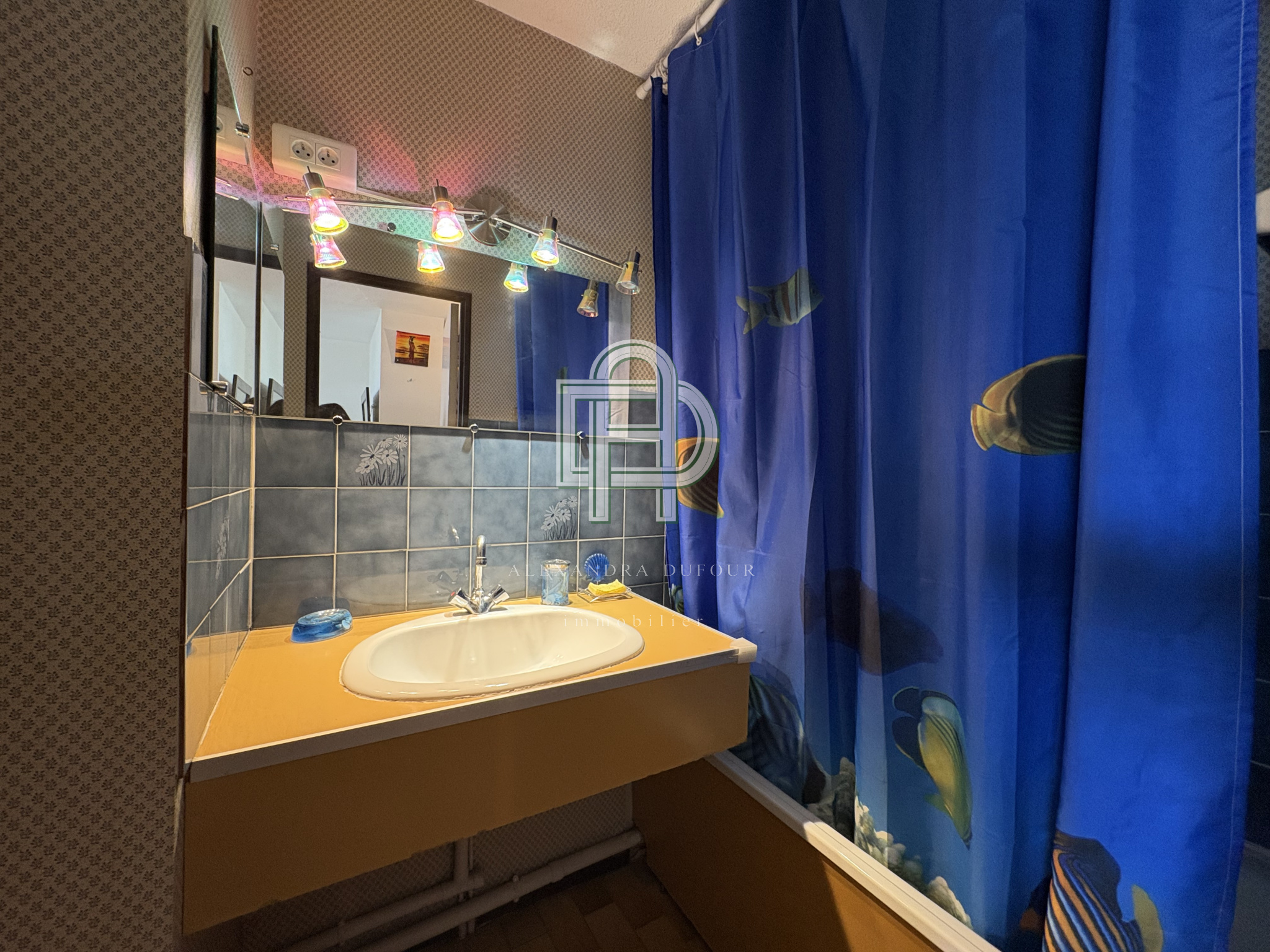 Image_, Appartement, Gruissan, ref :1817