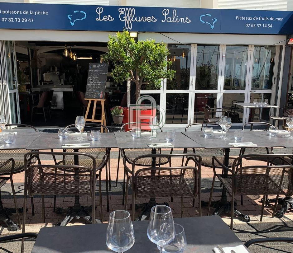 Image_, Murs commerciaux, Gruissan, ref :1797