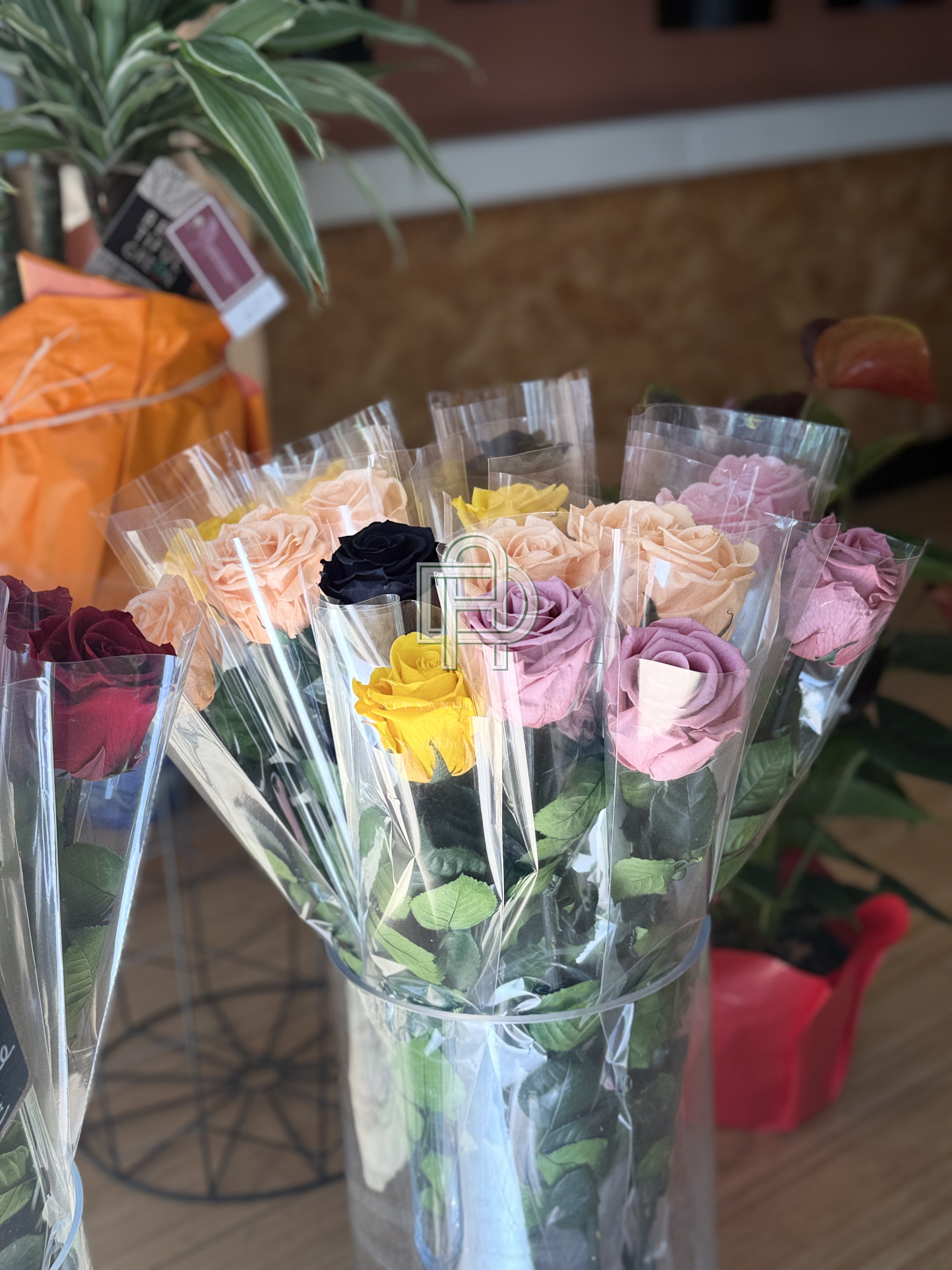 Image_, Fonds de commerce, Gruissan, ref :1818