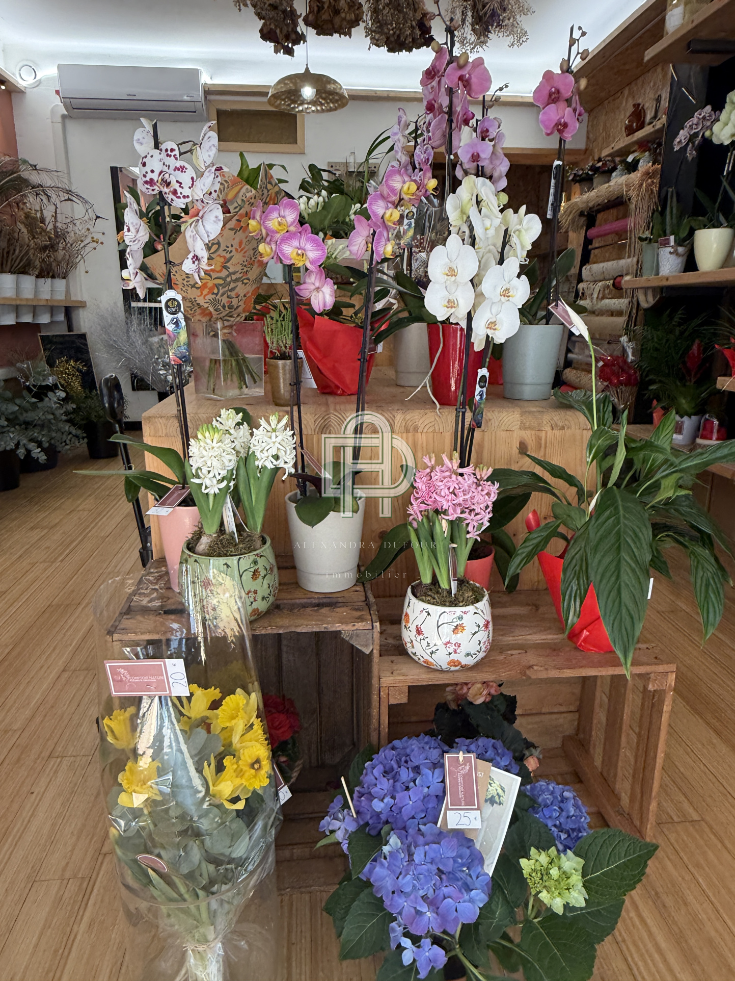 Image_, Fonds de commerce, Gruissan, ref :1818