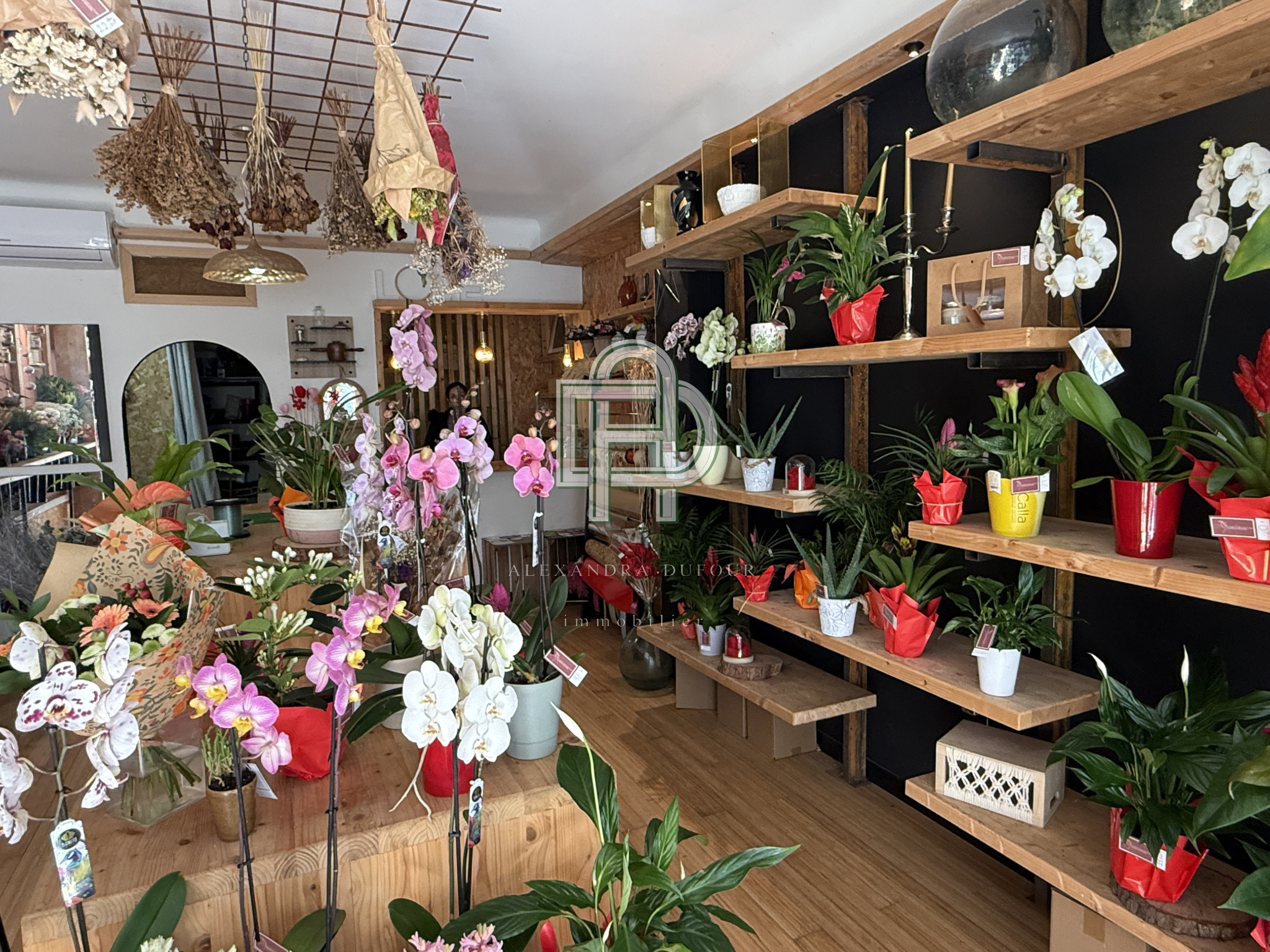 Image_, Fonds de commerce, Gruissan, ref :1818