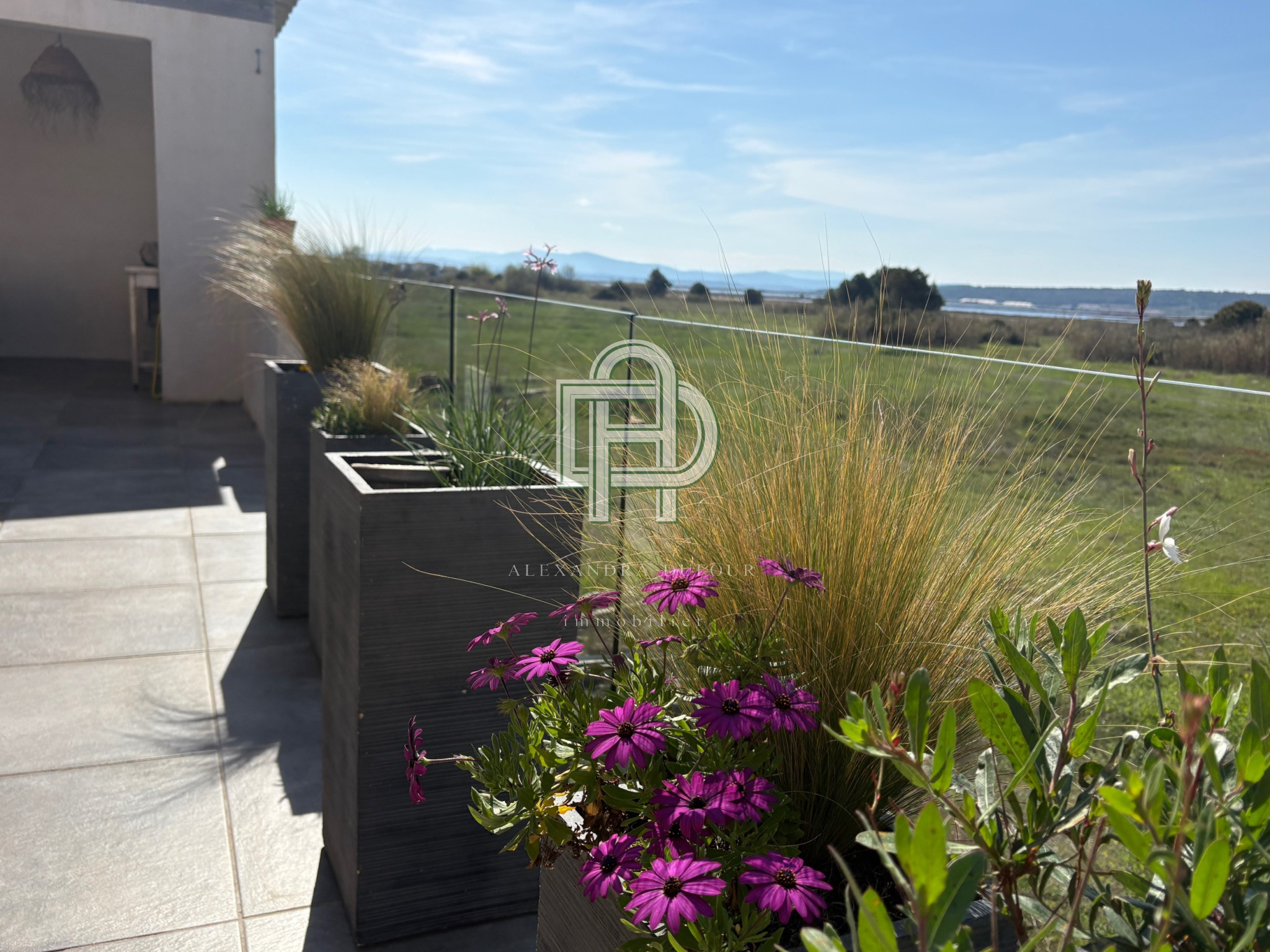 Image_, Maison, Gruissan, ref :1832