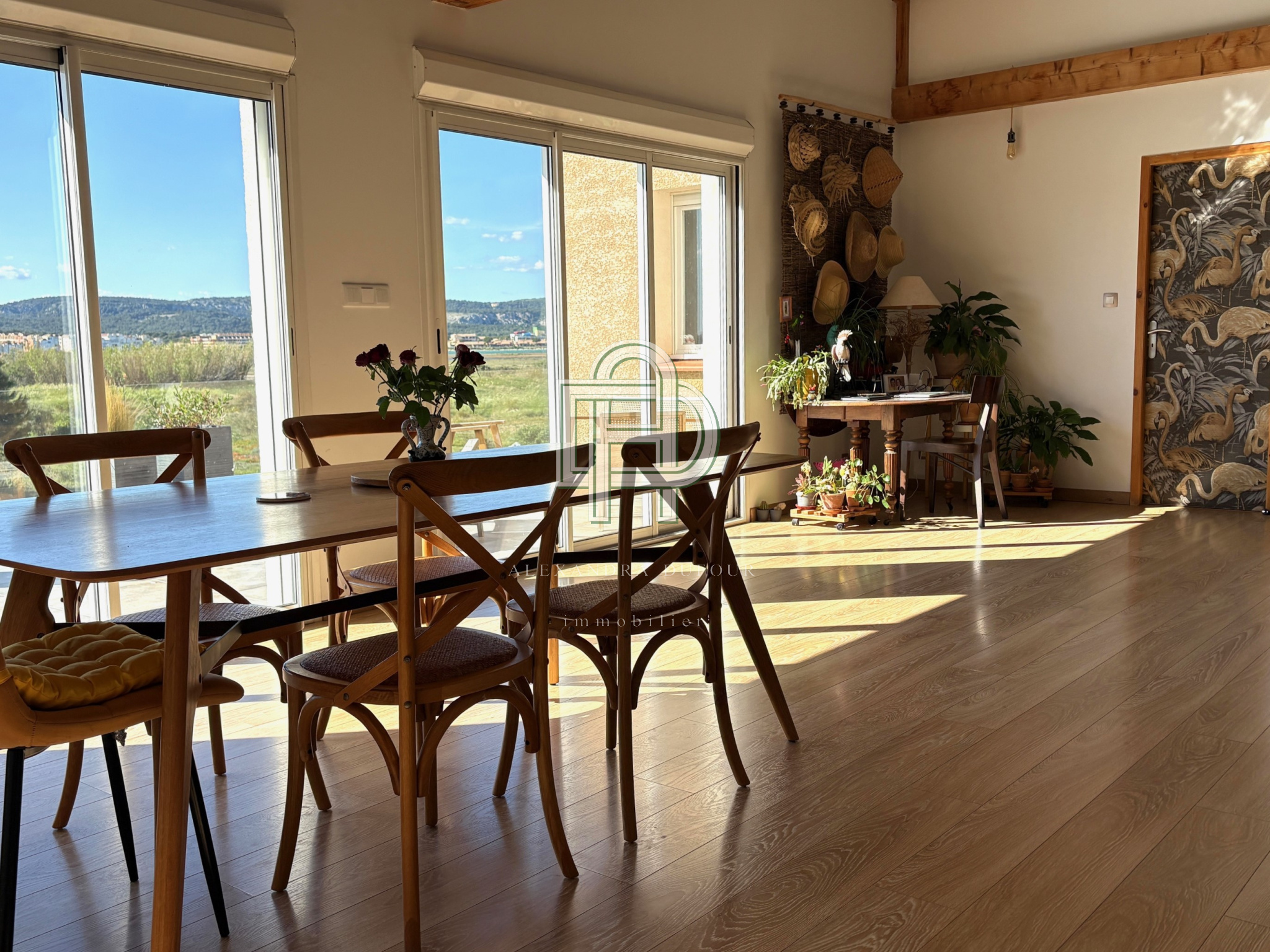 Image_, Maison, Gruissan, ref :1832