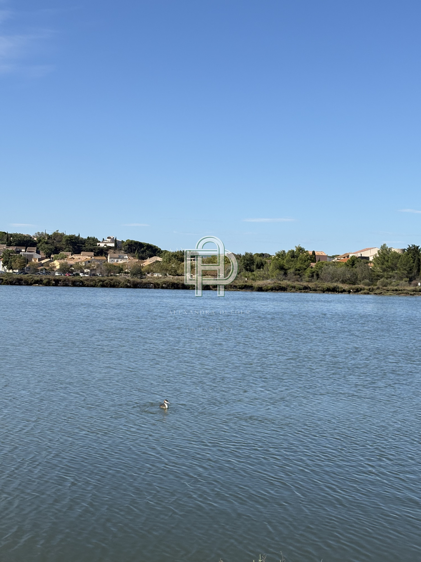 Image_, Maison, Peyriac-de-Mer, ref :1805